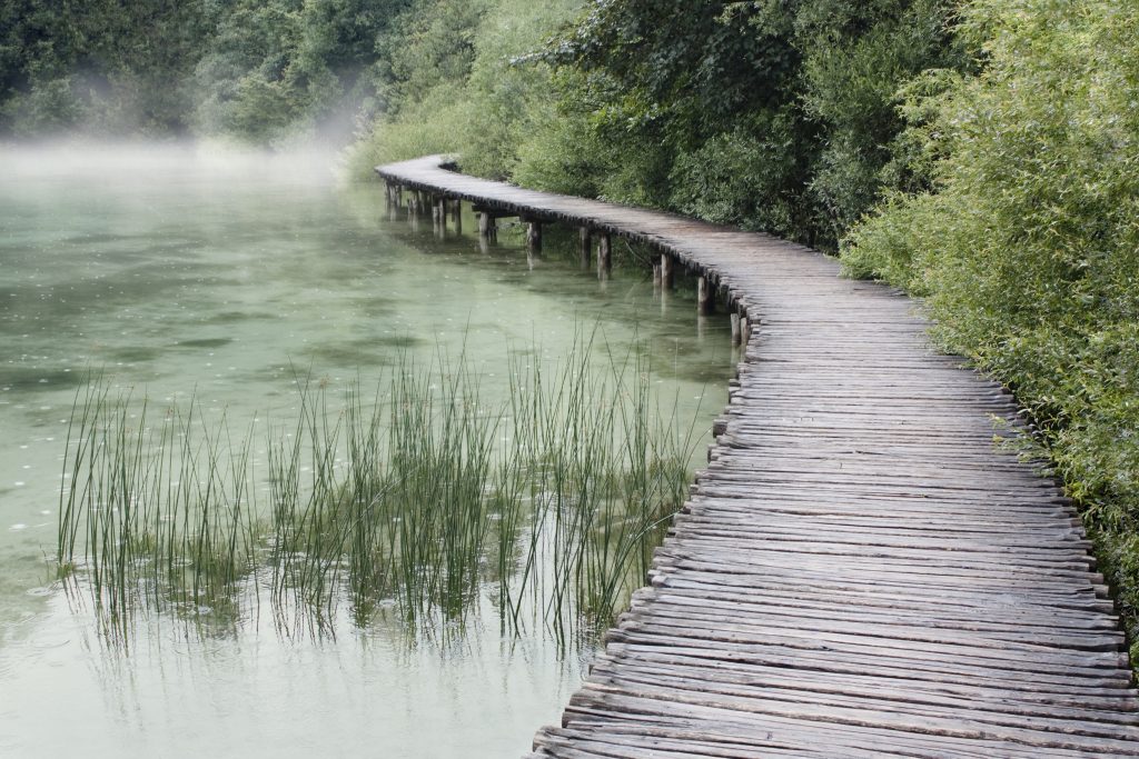Narrow wooden path suspended over a lake winding throught a forest.